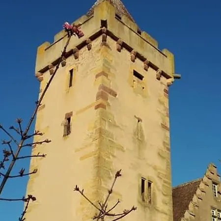 Charmante Maison Proche Du Vignoble Alsacien, Jardin Clos, 6 Pers. - Fr-1-744-49 Casa vacanze